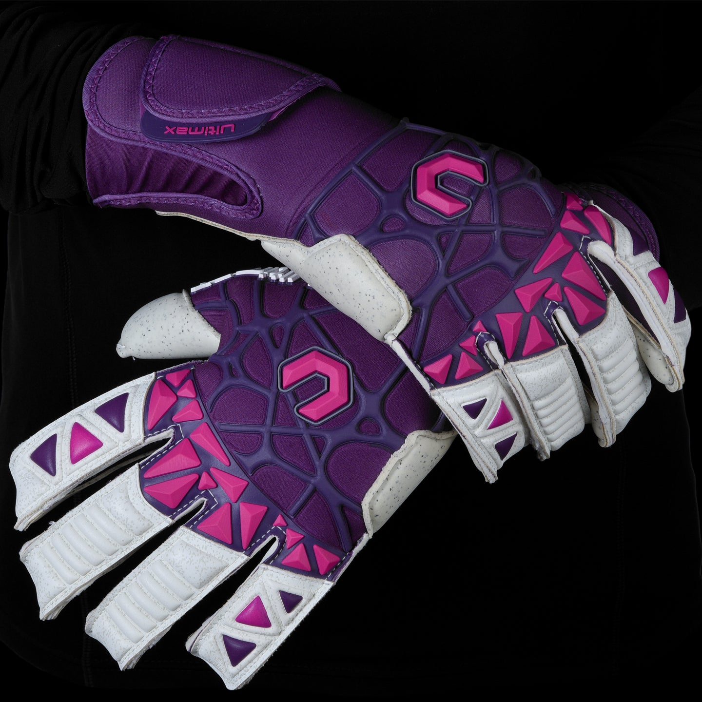 Kaylo Hydra Hyla image 3